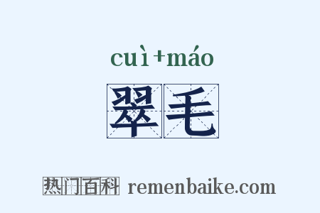 翠毛是什么意思的图片